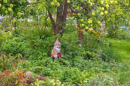 plaster dwarf in the garden, under a treeの写真素材