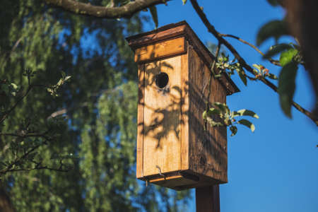 wooden birdhouse for starlings, close up view, blue sky