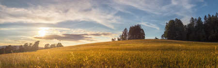 field at sunset - setting sun, summer evening in the countrysideの写真素材