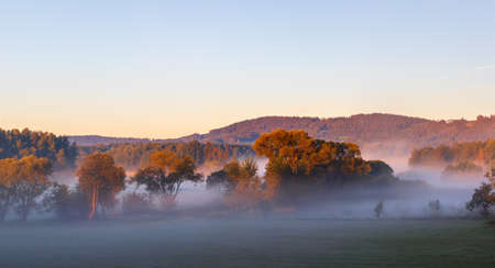 misty landscape in the morning - witch tress, forest, meadow and hills - lit by the rising sunの写真素材