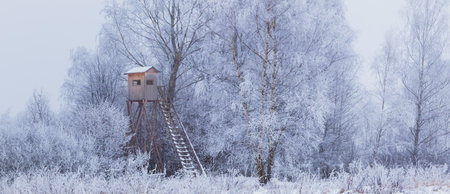winter landscape with snow, hunting blind near the forest and meadowの写真素材
