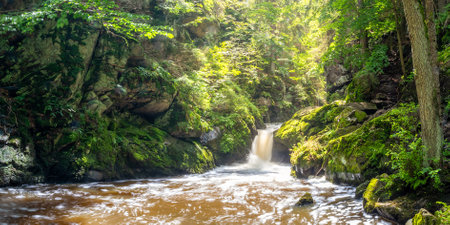 waterfall on the river in the forest, Doubrava river valley near Chotebor, Czech republic