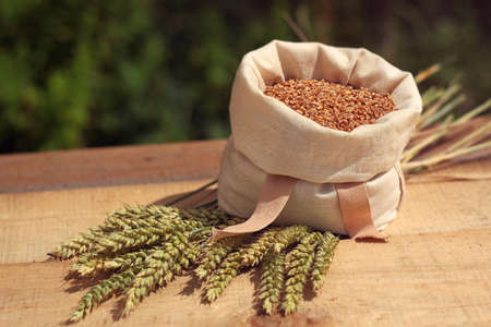 Wheat - bag with grains, ears of grainの写真素材