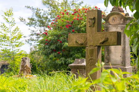 tombstones in an old cemetery overgrown with grass