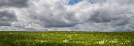 landscape with green grass field, cloudy skyの写真素材