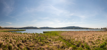 Landscape with the Olsina pond, Czech Republicの写真素材