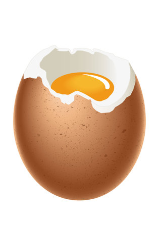 Egg - soft boiled egg, with shell, white and yolk, illustration on white backgroundのイラスト素材