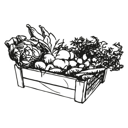 vegetable box - wooden box with vegetables, black and white illustrationのイラスト素材