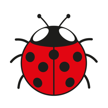 cute seven-spot ladybird, color vector cartoon illustration of seven-spotted ladybug, isolated on white backgroundのイラスト素材