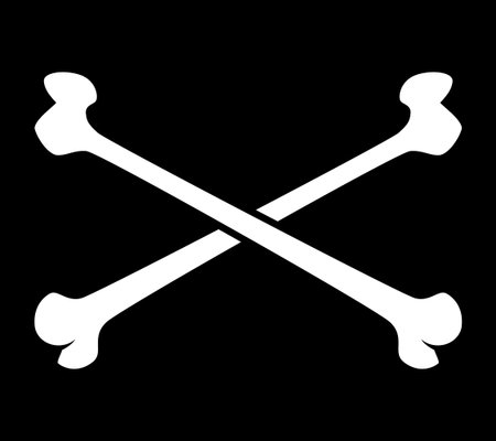 white crossbones, black and white vector illustration of crossed bones, isolated on black