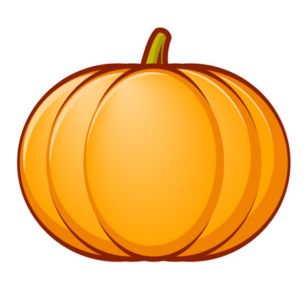 pumpkin, color vector cartoon illustration of squash, isolated on whiteのイラスト素材