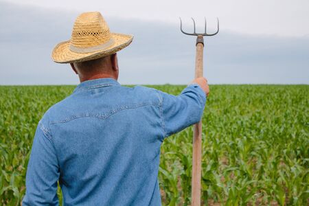 Senior farmer looking forward in the corn field holding pitchfork in his right handの写真素材