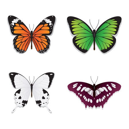 illustration of butterfliesのイラスト素材