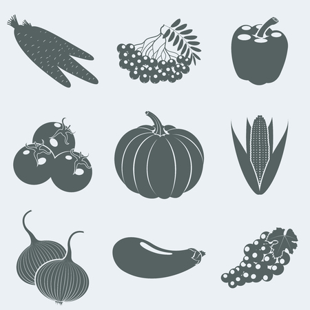 Vector illustration of icons of fruits and berriesのイラスト素材