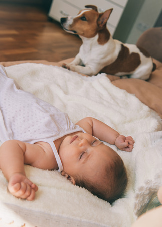 Jack russel terrier dog and cute 3 month baby sleeping together on the bed.の写真素材