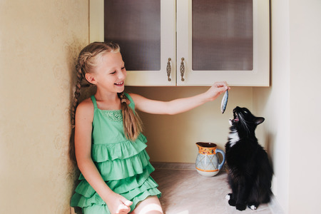 Child girl feeding a black cat in the kitchen. Black cat eating fish.の写真素材