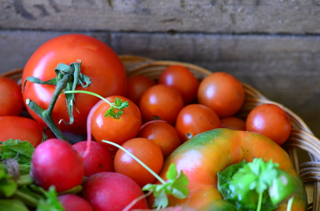 Tomatoes, radishes, peppers, parsley and wickerwork handbasketの写真素材