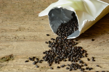 Seeds of basil on woodne backgroundの写真素材