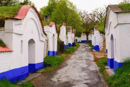 Traditional Wine Cellars - Plze, Petrov, Czech Republic, Europe. Wine lore and folklore. Moravian wine cellars.のeditorial素材