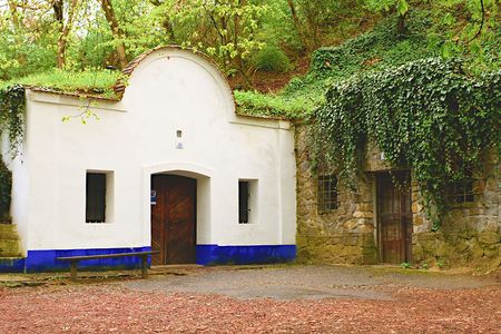 Traditional Wine Cellars - Plze, Petrov, Czech Republic, Europe. Wine lore and folklore. Moravian wine cellars.のeditorial素材