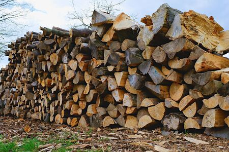 The heap of logs. Logging station, texture background.
