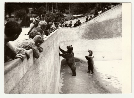 THE CZECHOSLOVAK SOCIALIST REPUBLIC - CIRCA 1980s: Vintage photo shows people visit ZOO. Two bears stand in bear moat.のeditorial素材