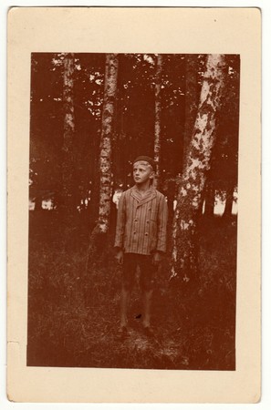 THE CZECHOSLOVAK REPUBLIC - CIRCA 1930s: Vintage photo shows boy stands in the forest. Silver birches are one the background. Retro black & white photography.のeditorial素材
