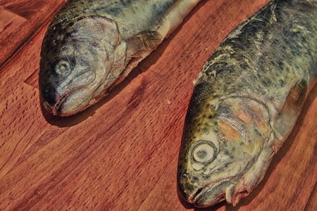 Two raw rainbow trouts on wooden board. Healthy food and dieting concept. Add dark contrastsの写真素材