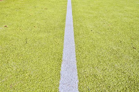 White line on green playing field. Copy space. Sport texture and backgroundの写真素材