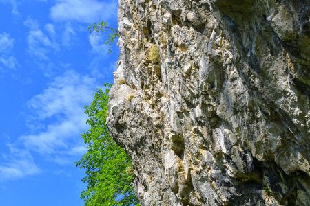 The Pavlov Hills, in Czech also Palava.  White limestone rocks,  flowers in rock. South Moravia, the Czech Republic, Europeの写真素材