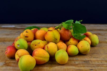 Apricots on wooden background. Apricots from rural garden.の写真素材