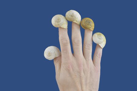 Empty snail houses on the fingers of a hand. Empty snail shells. Mortgage concept. Color classic...