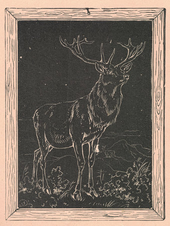 Black and white antique illustration shows a drawing of the deer. Vintage marvelous illustration shows a drawing of the heart. Old fabulous picture from fairytale book. Storybook illustration published 1910.の写真素材