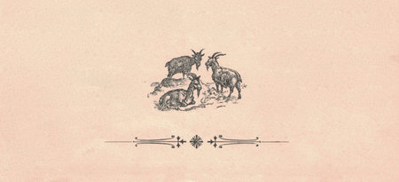 Black and white antique illustration shows a group of goats. Vintage drawing shows the flock of goats. Old picture from fairy tale book. Storybook illustration published 1910.の写真素材