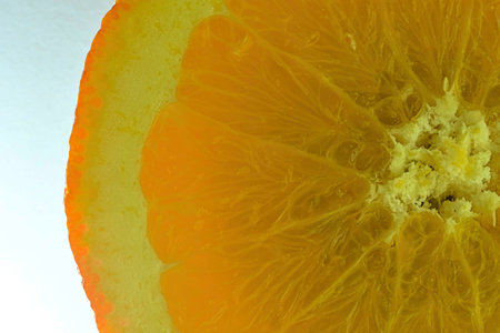 Close-up of fresh orange slice on white background. Slice of orange in sparkling water on white...