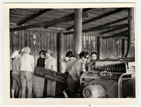 USSR - CIRCA 1980s: Vintage photo shows women work on a farm. They work at the sorting machine (sort potatoes).のeditorial素材