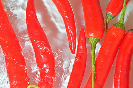 Red peppers in water on white background. Red chili peppers close-up in liquid with bubbles. Red chilli peppers in water. Macro image of vegetables in water.の写真素材
