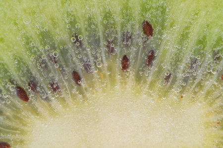 Slice of ripe kiwi fruit in water. Close-up of kiwi fruit in liquid with bubbles. Slice of ripe kiwi in sparkling water. Macro image of fruit in carbonated waterの写真素材