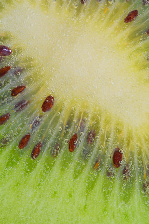 Slice of ripe kiwi fruit in water on white background. Close-up of kiwi fruit in liquid with bubbles. Slice of ripe kiwi in sparkling water. Macro image of fruit in carbonated waterの写真素材