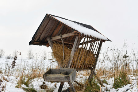 A snowy hay rack in winter. Feeding rack filled with hay and ready for winter feeding of game animals. Concept of the end of the hunting season and preparation for winter feeding of deer.の写真素材