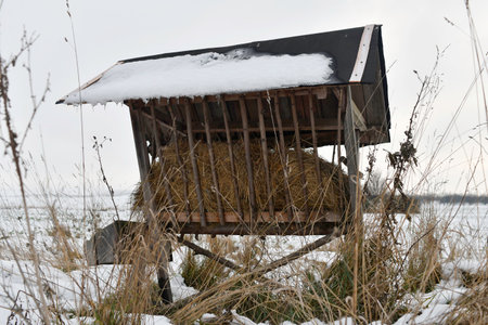 A snowy hay rack in the winter. Feeding rack filled with hay and ready for winter wildlife feeding. Concept of the end of the shooting season and preparation for winter feeding of game.の写真素材