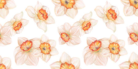 Watercolor floral hand drawn seamless pattern with delicate illustration of blossom narcissus, daffodils. Colorful spring flowers and buds wallpaper. Garden elements isolated on white backgroundの写真素材