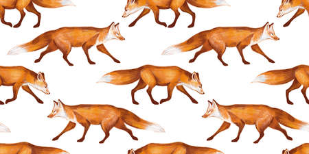 Watercolor hand drawn rural seamless pattern with illustration of forest animals autumn fox. Hand painted elements isolated on white background. woodland vintage style designの写真素材