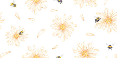 Watercolor seamless pattern with illustration of flying bumblebee, chamomile, petal isolated on white background. Cute vintage flat nature and floral design.の写真素材