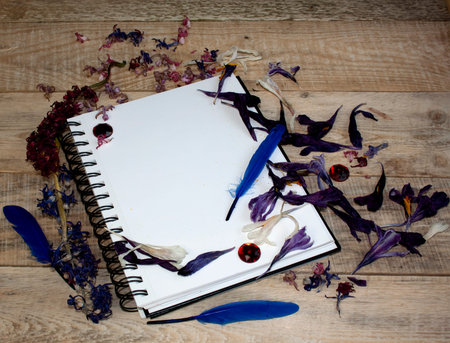 A blank sheet of paper for text with flower petals on a wooden background. Illustration of a hobby, drawing and inspiration. Top view.の写真素材