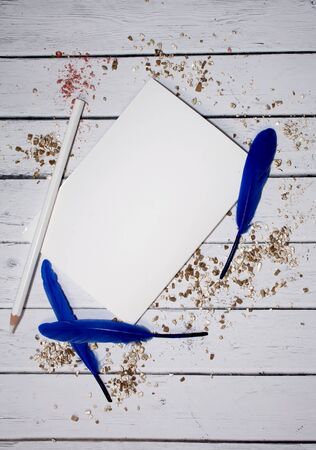 White sheet of paper with space for text withBlue feathers and gold powder. Top view. Female desktop. A gentle romantic style. Diary, notebook plans for the futureの写真素材