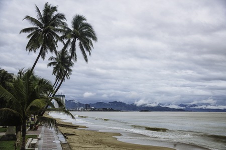 beautiful landscape of palm trees against the sea, mountains. background pictureの写真素材