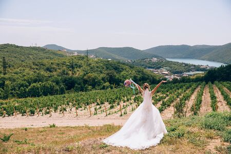 beautiful bride in a luxurious white dress, rear view. Against the background of mountains and vineyardsの写真素材