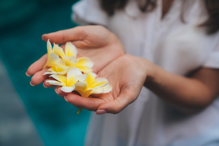 Close up of female hands with white and yellow plumeria, frangipani flower in palmsの写真素材