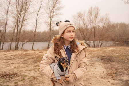 Teenage girl and chihuahua dog. School-age girl and her pet in the park in nature. Love for animals.の写真素材